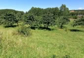 Parcela urbanizable en venta en la Calle Manuel Merayo Álvarez, Torre del Bierzo, ref: TR417033 foto