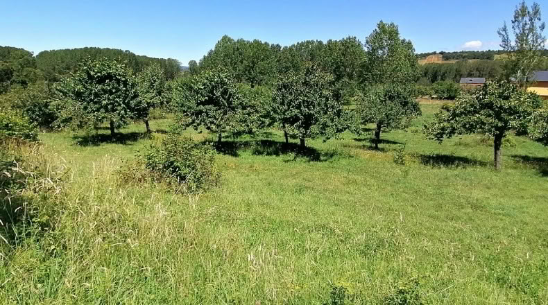 León - Torre del Bierzo - 4067m2