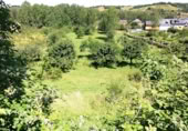 Parcela urbanizable en venta en la Calle Manuel Merayo Álvarez, Torre del Bierzo, ref: TR417033 foto