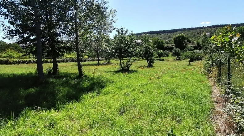 León - Torre del Bierzo - 4067m2