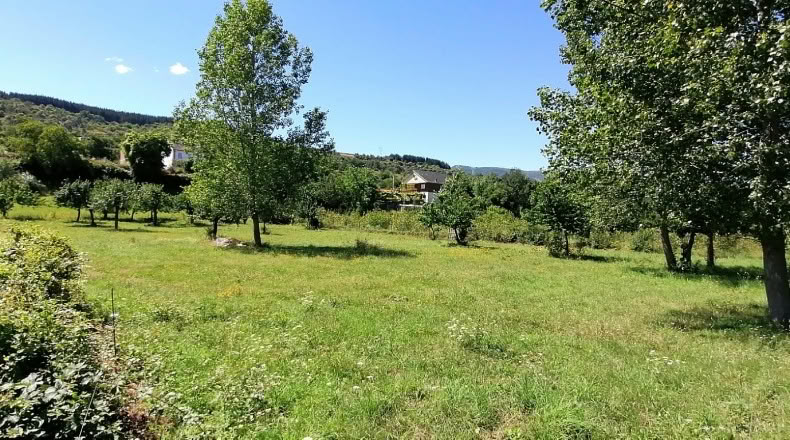 León - Torre del Bierzo - 4067m2