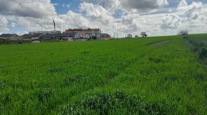 Comunidad de Madrid - Casarrubuelos - 19412m2
