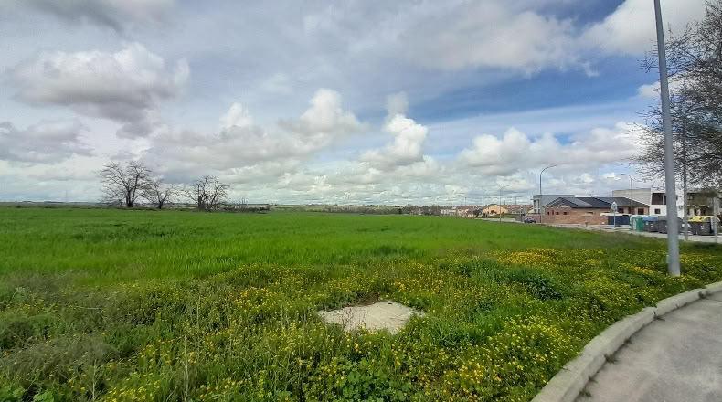 Comunidad de Madrid - Casarrubuelos - 19412m2