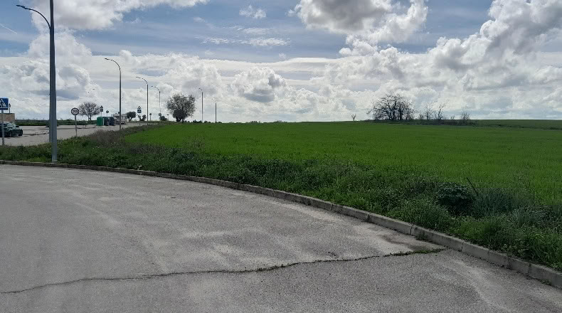 Comunidad de Madrid - Casarrubuelos - 19412m2