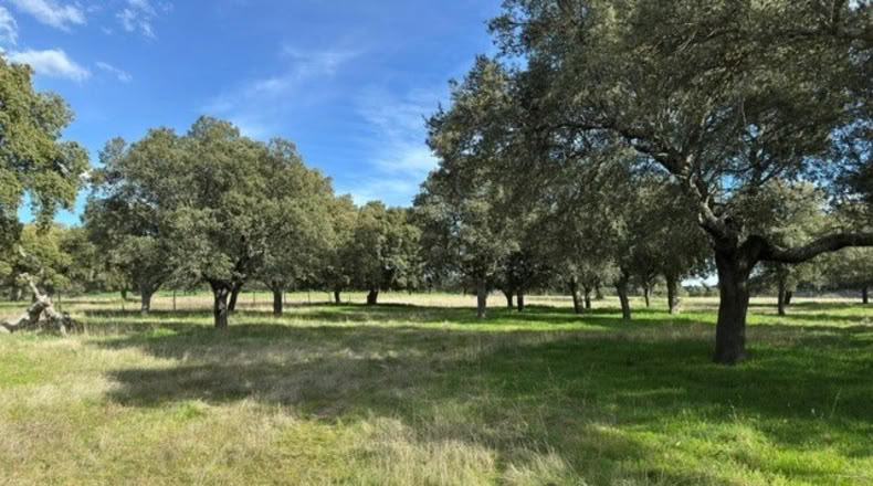 Ávila - Cillán - 33157m2
