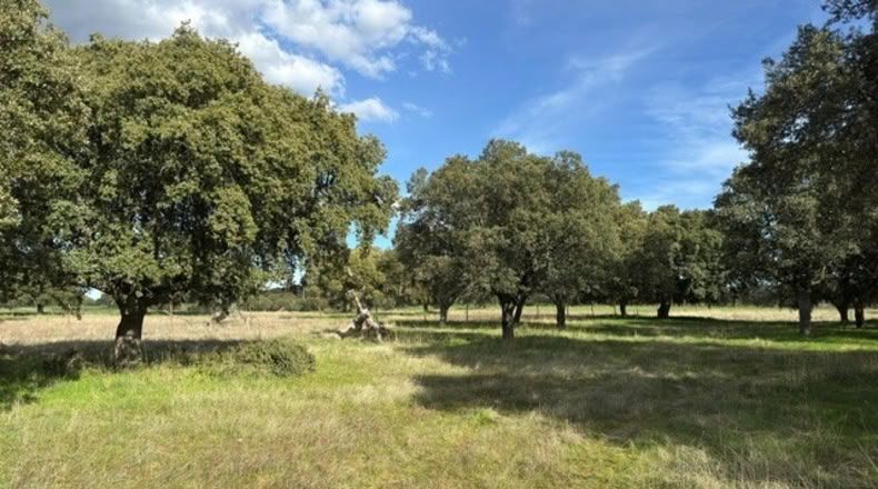 Ávila - Cillán - 33157m2