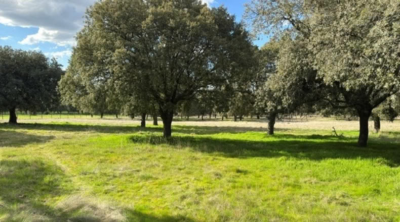 Ávila - Cillán - 33157m2