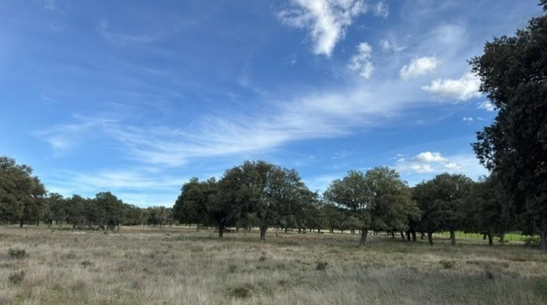 Ávila - Cillán - 33157m2
