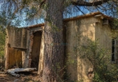 Casa con terreno en venta en la España, Bellús, ref: TR398334 foto