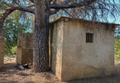 Casa con terreno en venta en la España, Bellús, ref: TR398334 foto