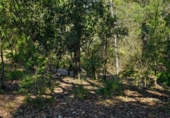 Casa con terreno en venta en la España, Bellús, ref: TR398334 foto