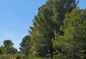 Casa con terreno en venta en la España, Bellús, ref: TR398334 foto