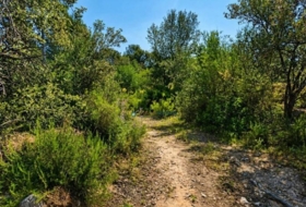 Foto 17