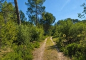 Casa con terreno en venta en la España, Bellús, ref: TR398334 foto
