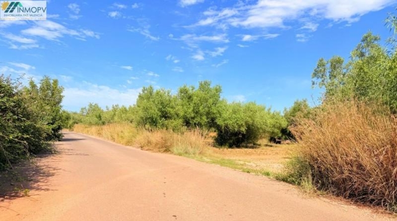 Castellón - Peñíscola - 3900m2