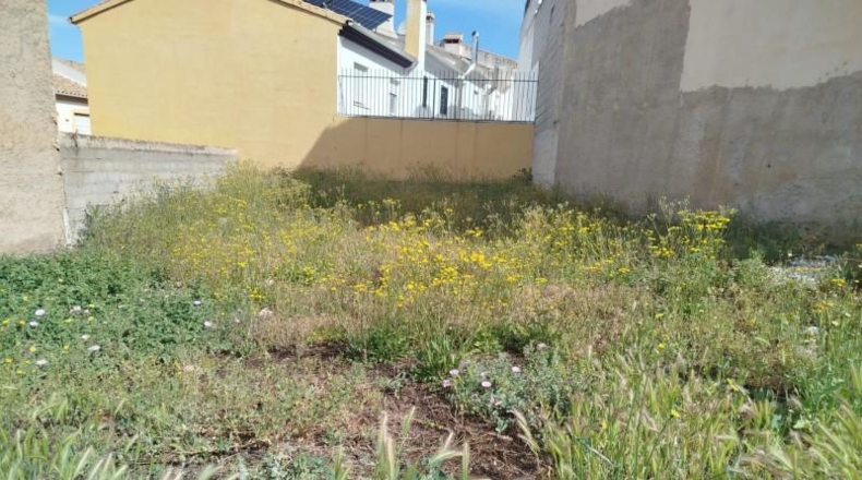 Гранада - Güevéjar - 168m2
