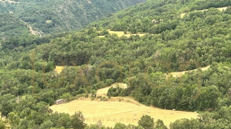 Lérida - Farrera - 50770m2