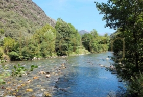 Foto 6