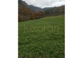 Xalet independent amb terreny en venda a la España, Farrera, ref.: TR417046 foto