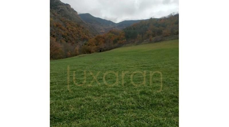 Lérida - Farrera - 50770m2