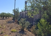 Terreno no urbanizable en venta en la España, Roquetes, ref: TR417050 foto