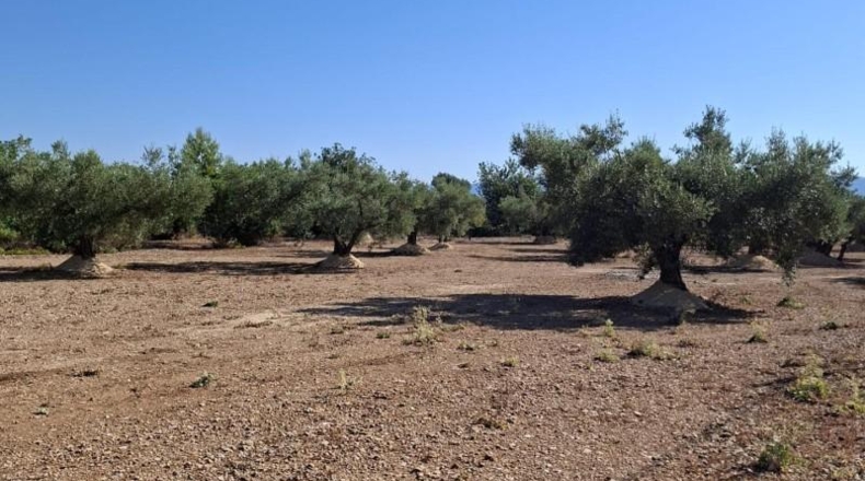 Tarragona - Roquetes - 9860m2