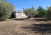 Terreno no urbanizable en venta en la España, Roquetes, ref: TR417050 foto
