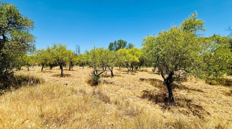 Teruel - Cretas - 40m2