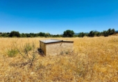 Chalet independiente con terreno en venta en la España, Cretas, ref: TR417064 foto
