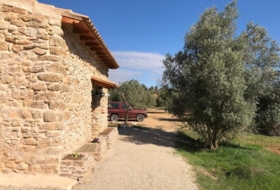 Foto 15
