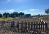 Terreny no urbanitzable en venda a la España, Santa Eugènia, ref.: TR337884 foto