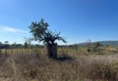 Terreny no urbanitzable en venda a la España, Santa Eugènia, ref.: TR337884 foto