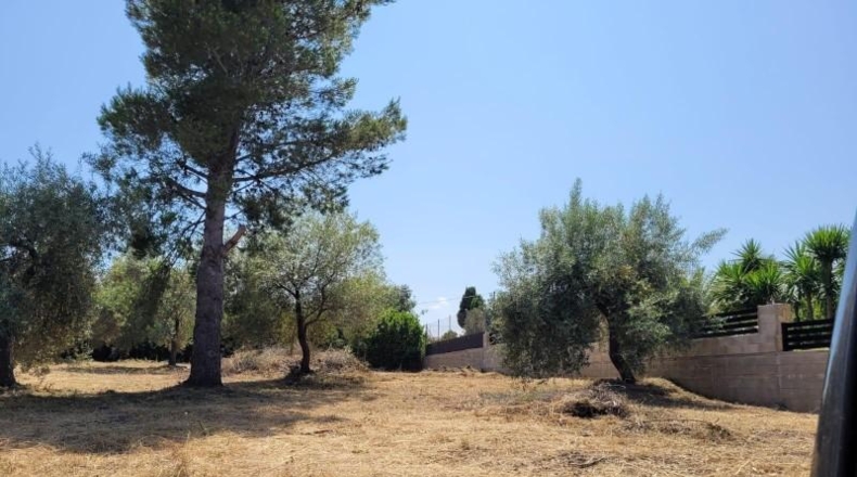 Tarragona - Alcanar - 899m2