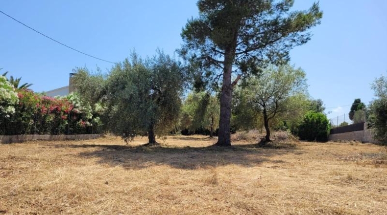 Tarragona - Alcanar - 899m2