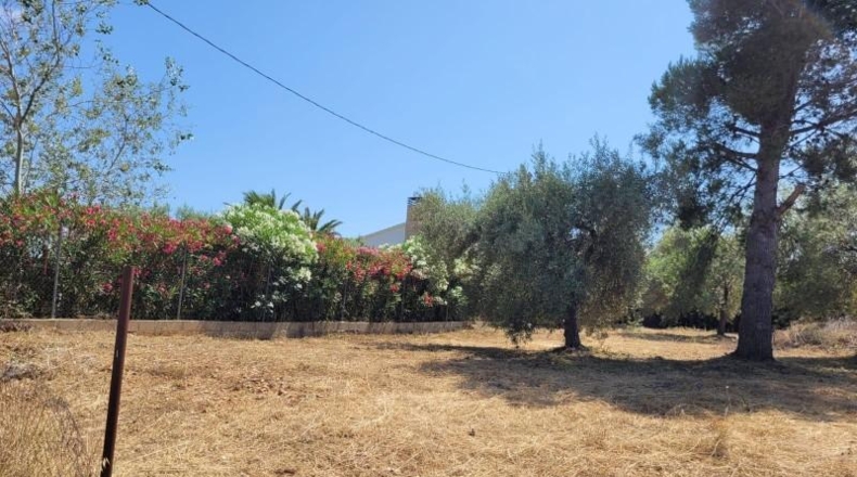 Tarragona - Alcanar - 899m2