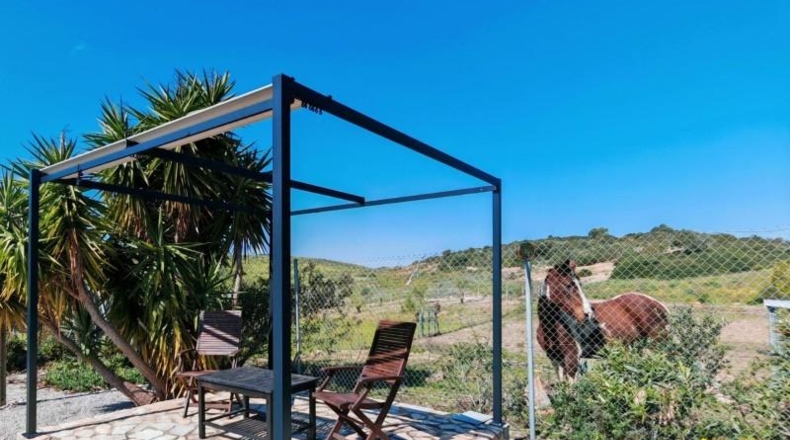 Cádiz - Medina Sidonia - 6300m2