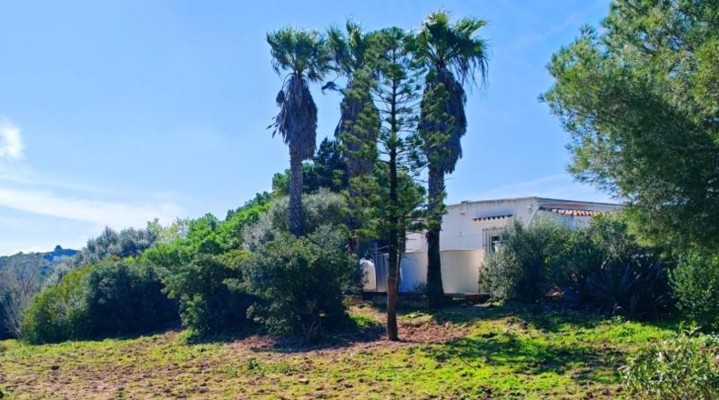 Cádiz - Medina Sidonia - 6300m2