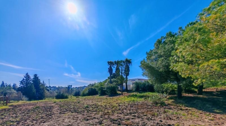 Cádiz - Medina Sidonia - 6300m2