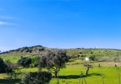 Chalet independiente con terreno en venta en la España, Medina Sidonia, ref: TR389214 foto