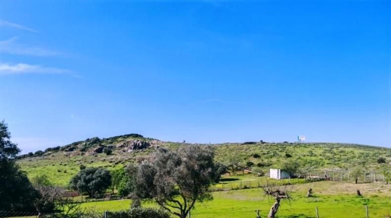 Cádiz - Medina Sidonia - 6300m2