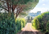 Chalet independiente con terreno en venta en la España, Medina Sidonia, ref: TR389214 foto