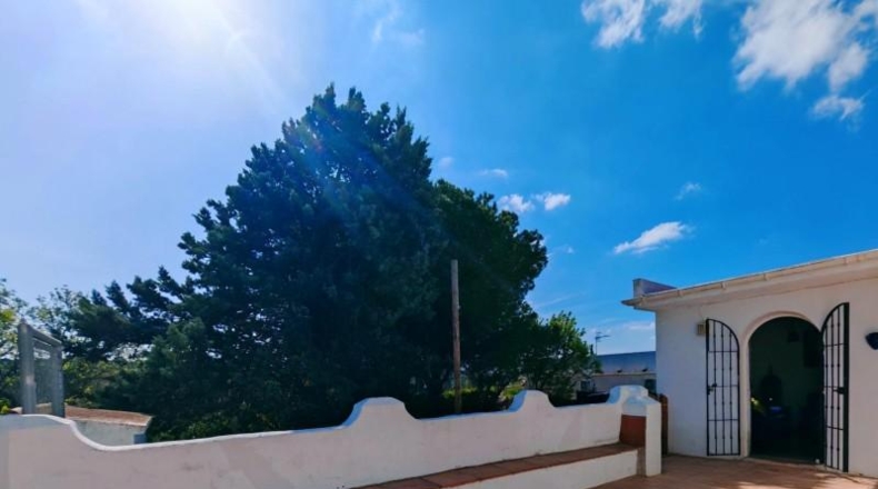 Cádiz - Medina Sidonia - 6300m2