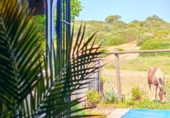 Chalet independiente con terreno en venta en la España, Medina Sidonia, ref: TR389214 foto
