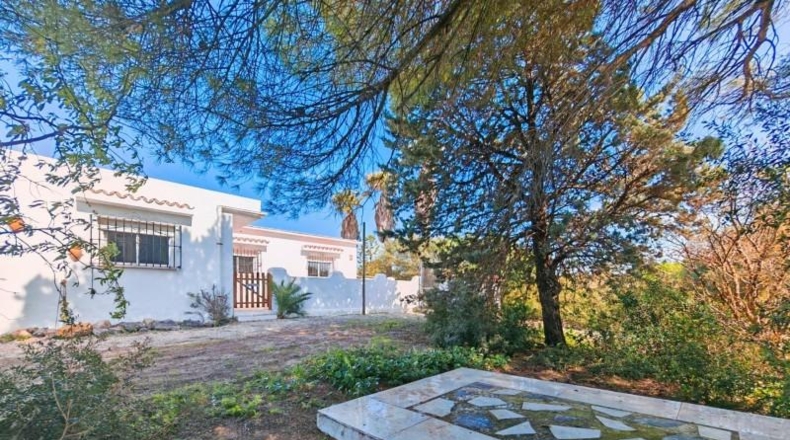 Cádiz - Medina Sidonia - 6300m2