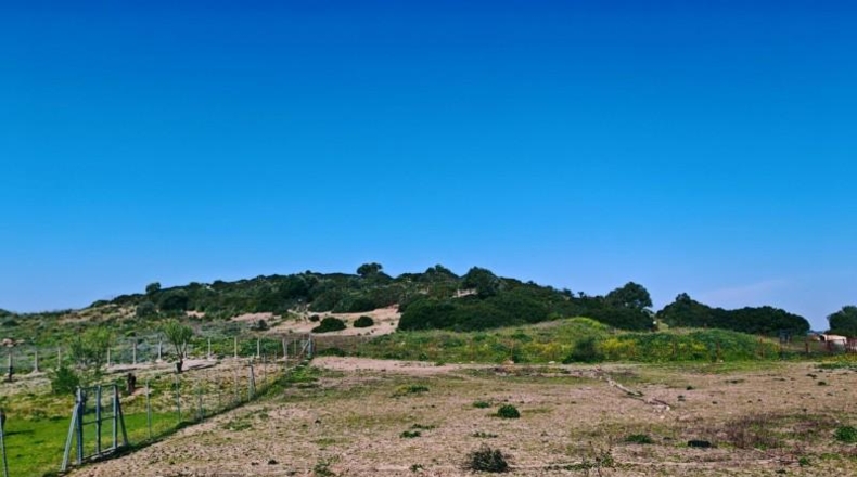 Cádiz - Medina Sidonia - 6300m2