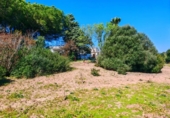 Chalet independiente con terreno en venta en la España, Medina Sidonia, ref: TR389214 foto