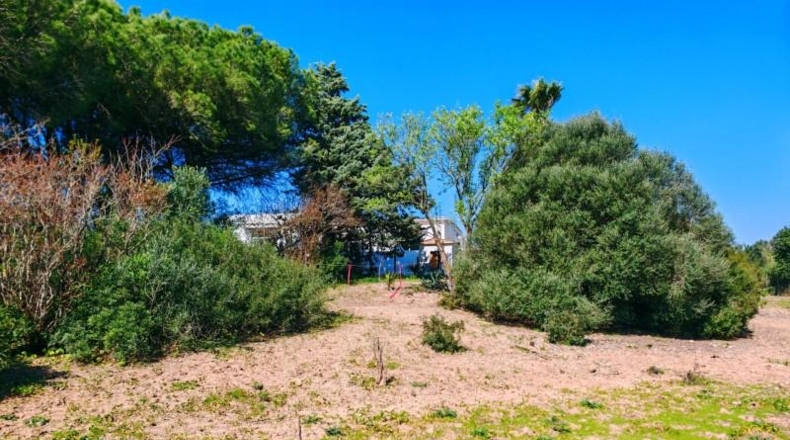 Cádiz - Medina Sidonia - 6300m2