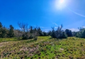 Chalet independiente con terreno en venta en la España, Medina Sidonia, ref: TR389214 foto