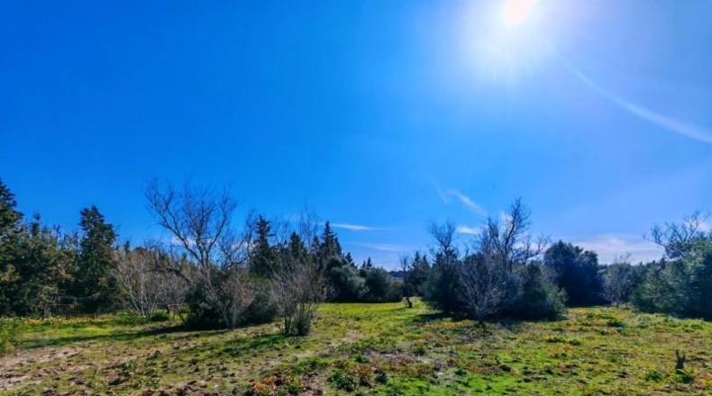 Cádiz - Medina Sidonia - 6300m2