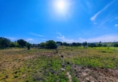 Chalet independiente con terreno en venta en la España, Medina Sidonia, ref: TR389214 foto